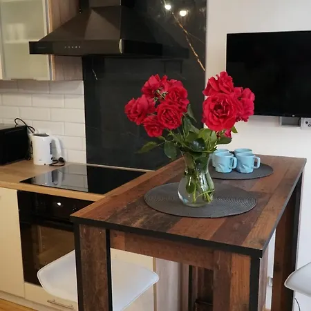 Apartament Apartament W Centrum Ostoya 1